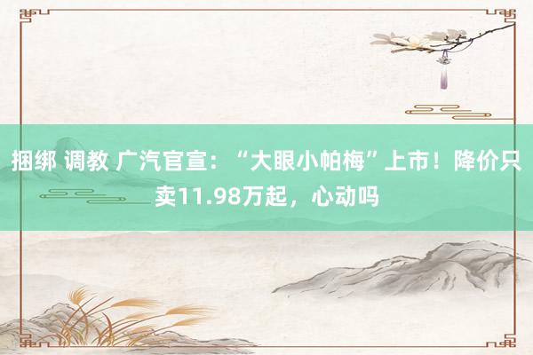 捆绑 调教 广汽官宣：“大眼小帕梅”上市！降价只卖11.98万起，心动吗