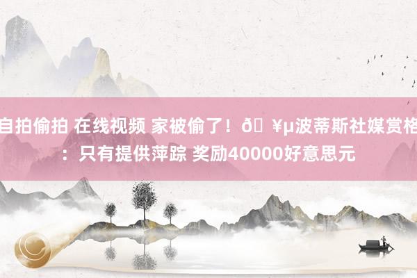 自拍偷拍 在线视频 家被偷了！🥵波蒂斯社媒赏格：只有提供萍踪 奖励40000好意思元