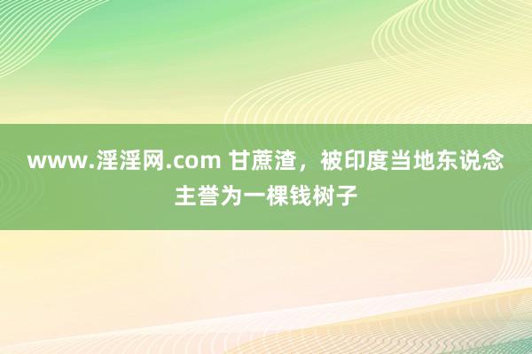 www.淫淫网.com 甘蔗渣，被印度当地东说念主誉为一棵钱树子