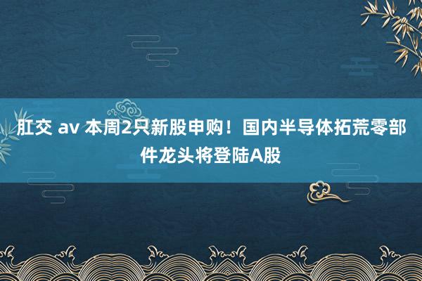 肛交 av 本周2只新股申购！国内半导体拓荒零部件龙头将登陆A股