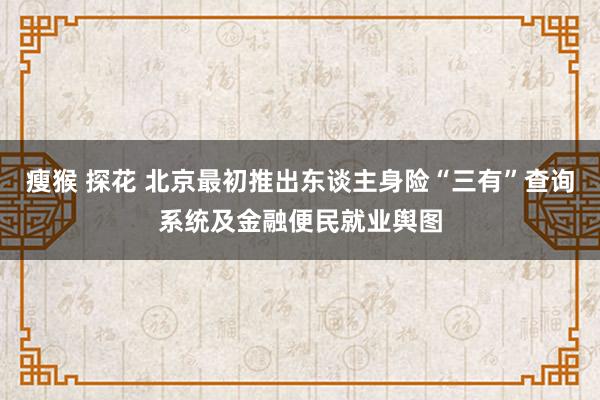 瘦猴 探花 北京最初推出东谈主身险“三有”查询系统及金融便民就业舆图