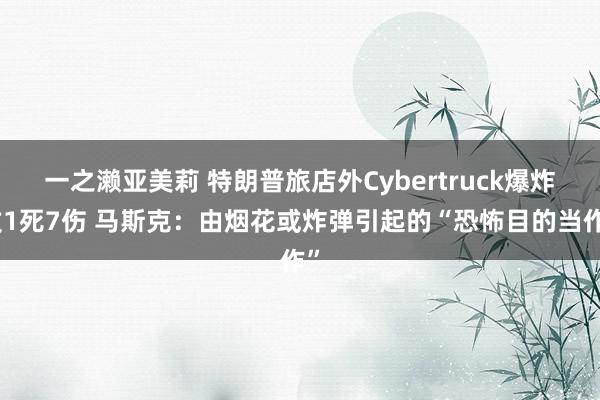 一之濑亚美莉 特朗普旅店外Cybertruck爆炸致1死7伤 马斯克：由烟花或炸弹引起的“恐怖目的当作”