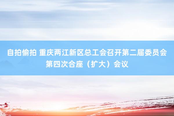 自拍偷拍 重庆两江新区总工会召开第二届委员会第四次合座（扩大）会议