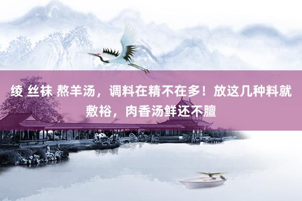 绫 丝袜 熬羊汤，调料在精不在多！放这几种料就敷裕，肉香汤鲜还不膻