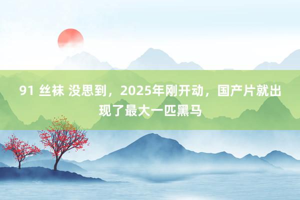 91 丝袜 没思到，2025年刚开动，国产片就出现了最大一匹黑马