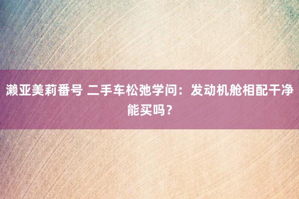 濑亚美莉番号 二手车松弛学问：发动机舱相配干净能买吗？