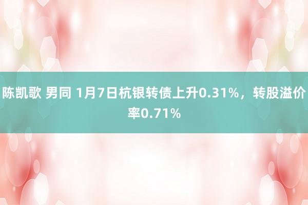 陈凯歌 男同 1月7日杭银转债上升0.31%，转股溢价率0.71%