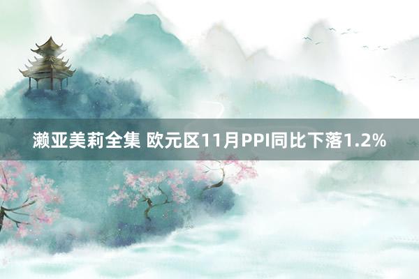 濑亚美莉全集 欧元区11月PPI同比下落1.2%