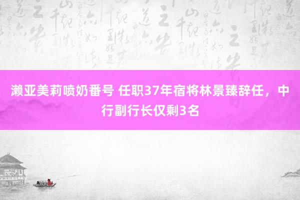 濑亚美莉喷奶番号 任职37年宿将林景臻辞任，中行副行长仅剩3名