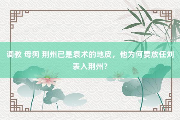 调教 母狗 荆州已是袁术的地皮，他为何要放任刘表入荆州？