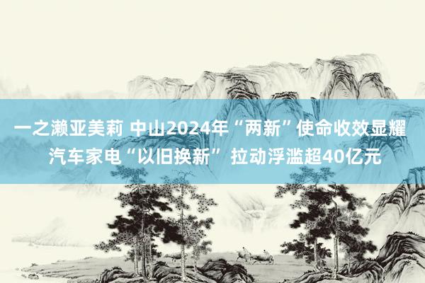 一之濑亚美莉 中山2024年“两新”使命收效显耀  汽车家电“以旧换新” 拉动浮滥超40亿元