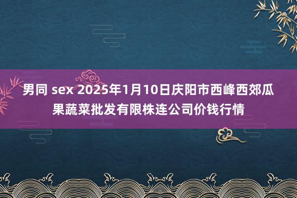 男同 sex 2025年1月10日庆阳市西峰西郊瓜果蔬菜批发有限株连公司价钱行情