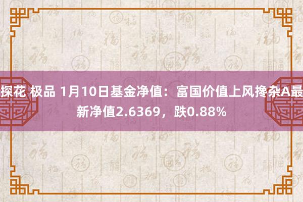 探花 极品 1月10日基金净值：富国价值上风搀杂A最新净值2.6369，跌0.88%