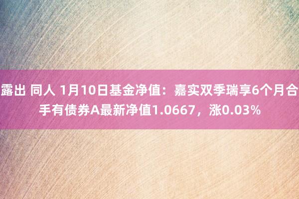 露出 同人 1月10日基金净值：嘉实双季瑞享6个月合手有债券A最新净值1.0667，涨0.03%