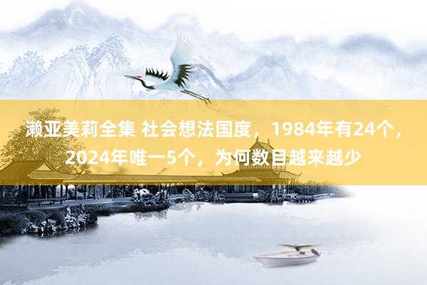 濑亚美莉全集 社会想法国度，1984年有24个，2024年唯一5个，为何数目越来越少