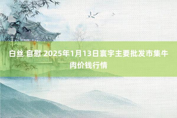 白丝 自慰 2025年1月13日寰宇主要批发市集牛肉价钱行情