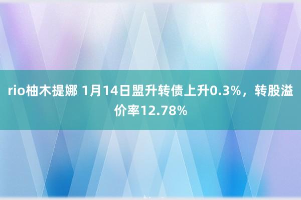 rio柚木提娜 1月14日盟升转债上升0.3%，转股溢价率12.78%