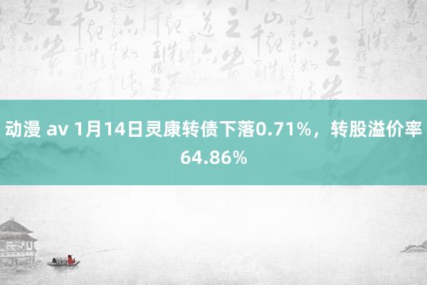 动漫 av 1月14日灵康转债下落0.71%，转股溢价率64.86%