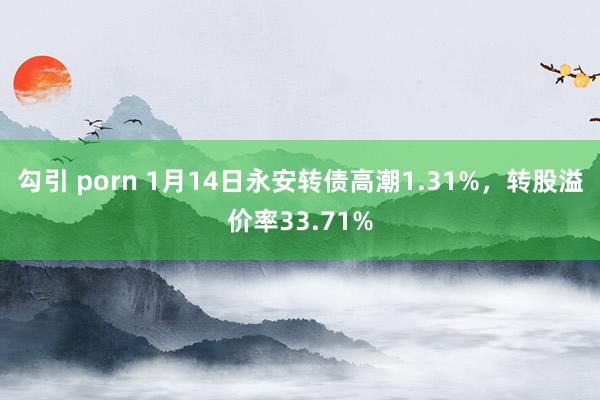 勾引 porn 1月14日永安转债高潮1.31%，转股溢价率33.71%