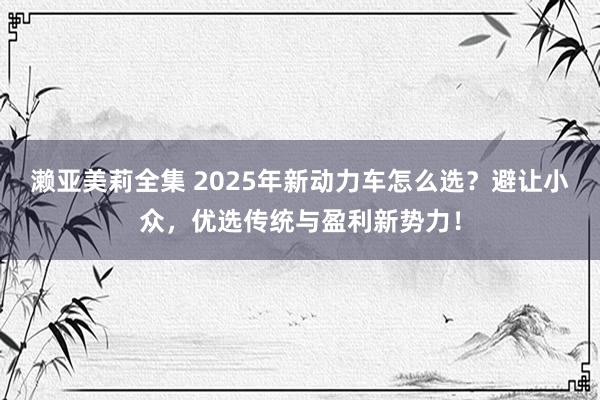 濑亚美莉全集 2025年新动力车怎么选？避让小众，优选传统与盈利新势力！