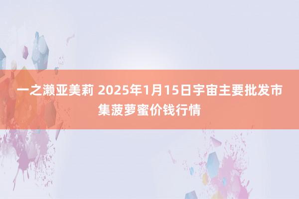 一之濑亚美莉 2025年1月15日宇宙主要批发市集菠萝蜜价钱行情