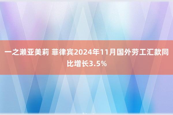 一之濑亚美莉 菲律宾2024年11月国外劳工汇款同比增长3.5%