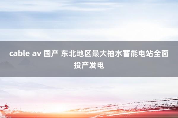 cable av 国产 东北地区最大抽水蓄能电站全面投产发电